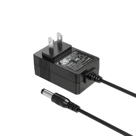 12 V 1 A美規